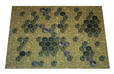 Hexagon-Map ''Wald #1 & Ruinen #2'' Spielplan für Rollenspiel & Tabletop d20 