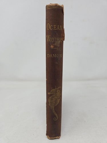 Ocean Wonders by W.E. Damon 1879 1st Ed Sea Life Marine Biology Illustrated - Picture 3 of 12