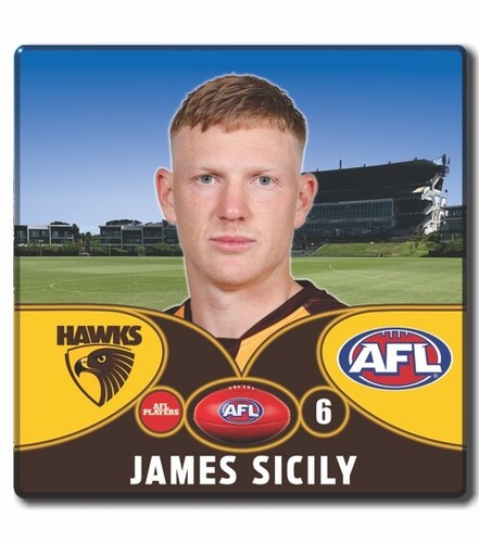 2023 AFL Hawthorn Football Club - SICILY, James - Picture 4 of 12