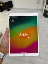 Apple iPad Pro (10.5-inch) A1701 256 GB, Wi-Fi, 10.5 in - Silver (See desc)