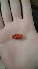 A pepper that looks like a tiny pepper