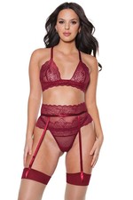 Coquette Pinot Noir Bra, Garter Belt Thong Set Gartered Merlot Size L