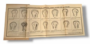 Antique Chart Cattle Teeth Age Veterinary Poster