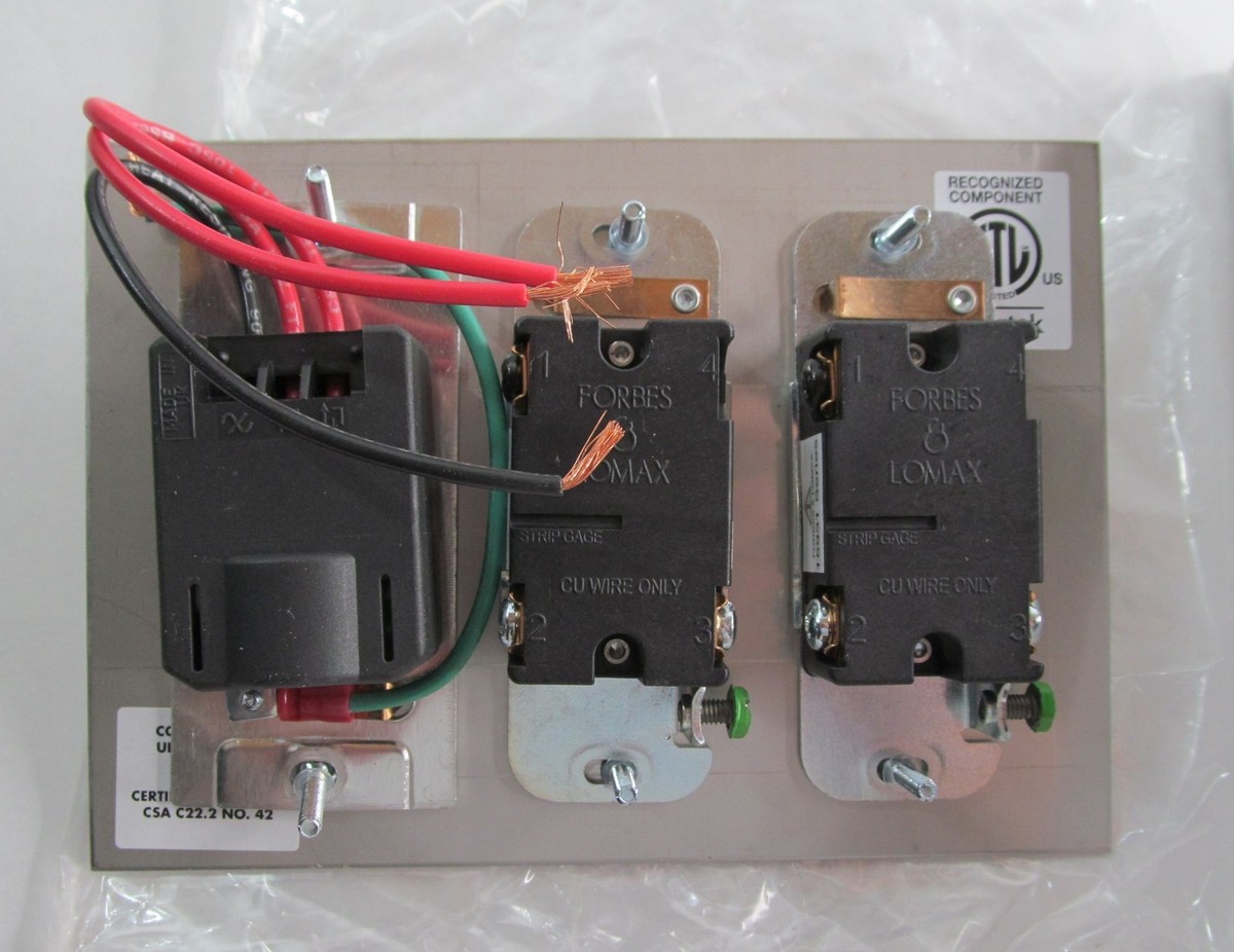 FORBES&LOMAX 2スイッチ付 イギリス製 NEW FORBES & LOMAX STAINLESS STEEL 2-GANG TOGGLE + ROTARY SWITCH