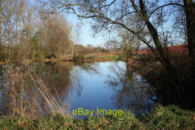Photo 6x4 Tranquil pond, November view Pontshill Compare to a picture tak c2010