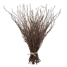 50PCS Birch Twigs – 17 Inch Natural Dried Plants Decorative Birch Branches fo...