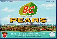 B.C, PEARS Original Canadian Fruit Crate Label Litho 64 Kelowna, B.C. Canada