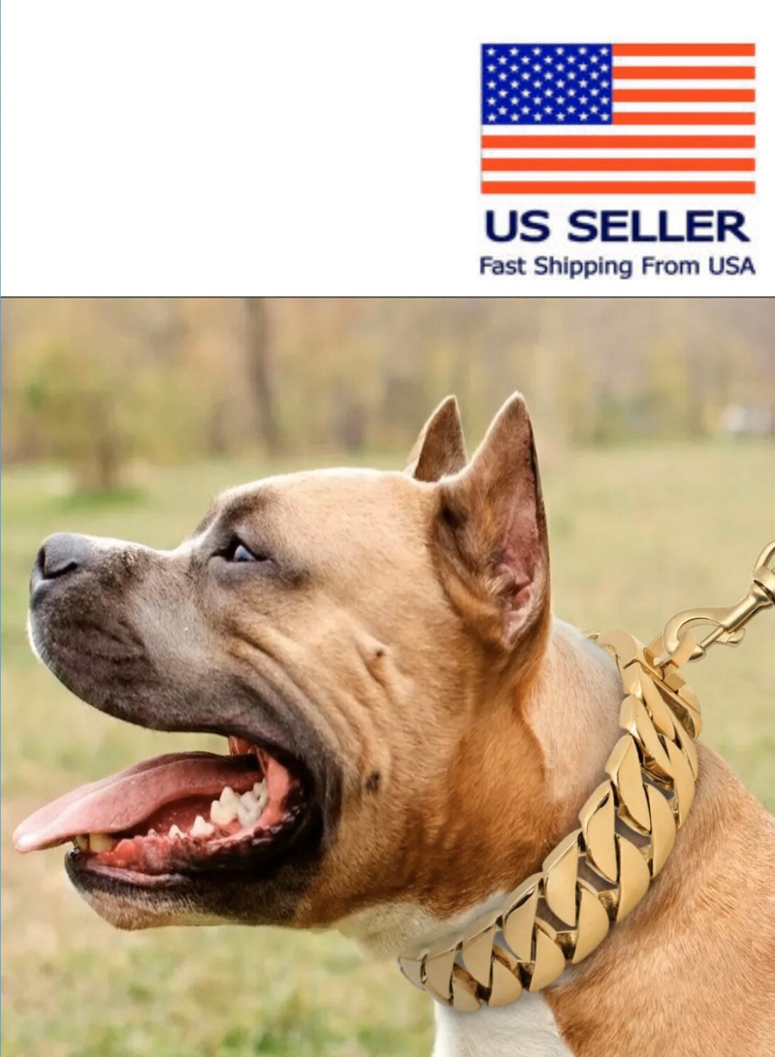 american bully chain