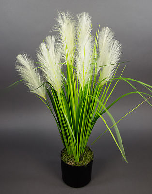 Palmengrasbusch 75cm im Topf DP Kunstpflanzen künstlicher Grasbusch Palmengras