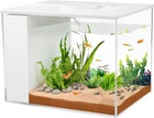 Betta Fish Tank Small Aquarium 1 Gallon Self Cleaning Fish Tank Starter Kit