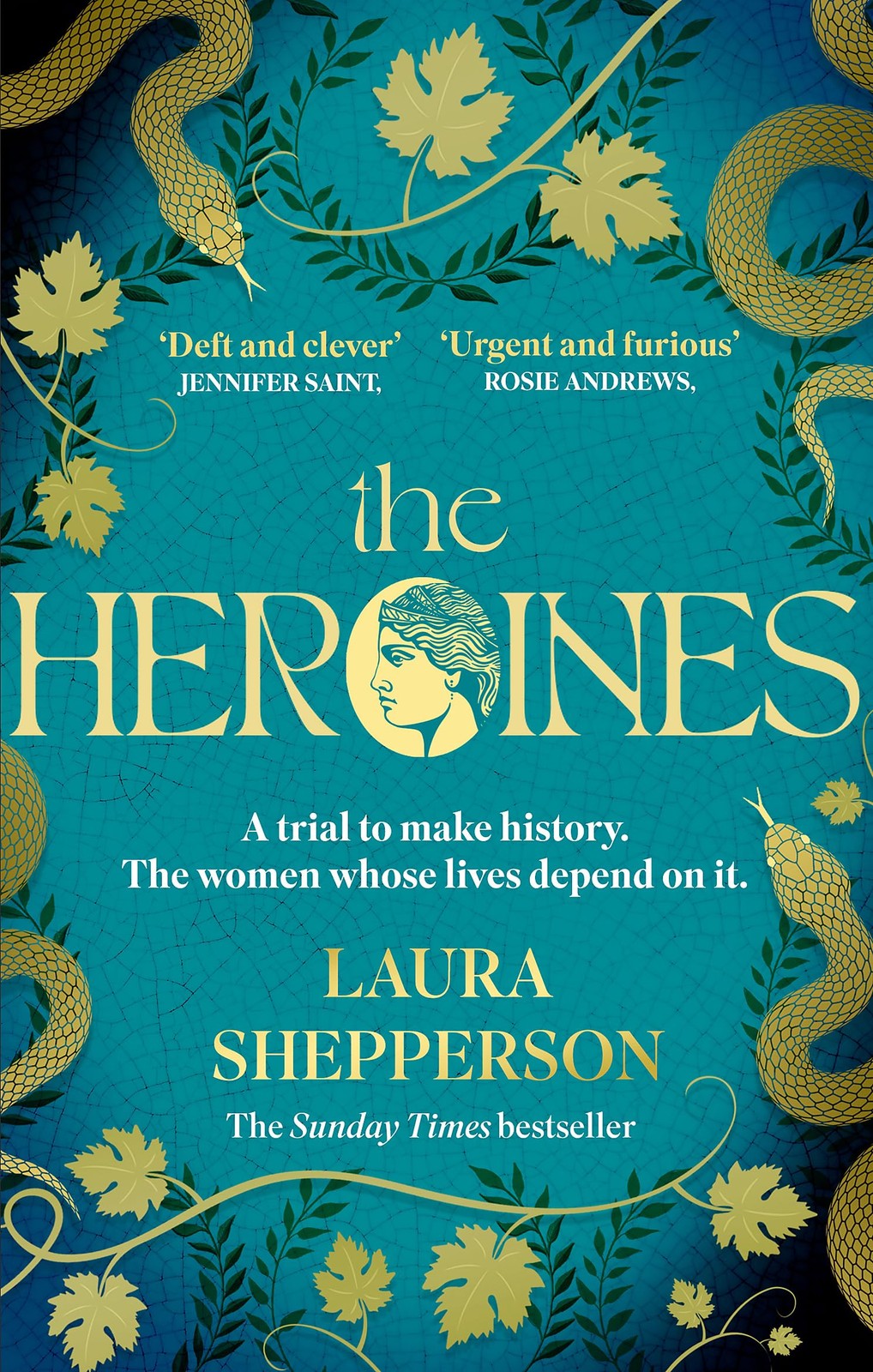 The Heroines by Laura Shepperson Paperback Novel History Fiction English