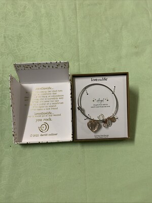 LoveThisLife 327-60-63 Angel Fine Silver Plated Charms Stainless Steel Bangle