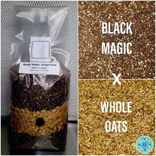 Premium Exotic Dung ALL-IN-ONE Mushroom Grow Kit 1 Pack Kit 5lb Bag 🍄✨️