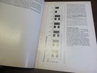 Foto 3 di 4