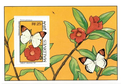 VINTAGE CLASSICS - Maldives 1906 - Great Orange Tip Butterflies - S/S - MNH - 第 1/1 張圖片