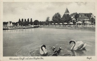 726394) Postcard Swan Idyll on Lake Tegel Berlin Tegel used 1939