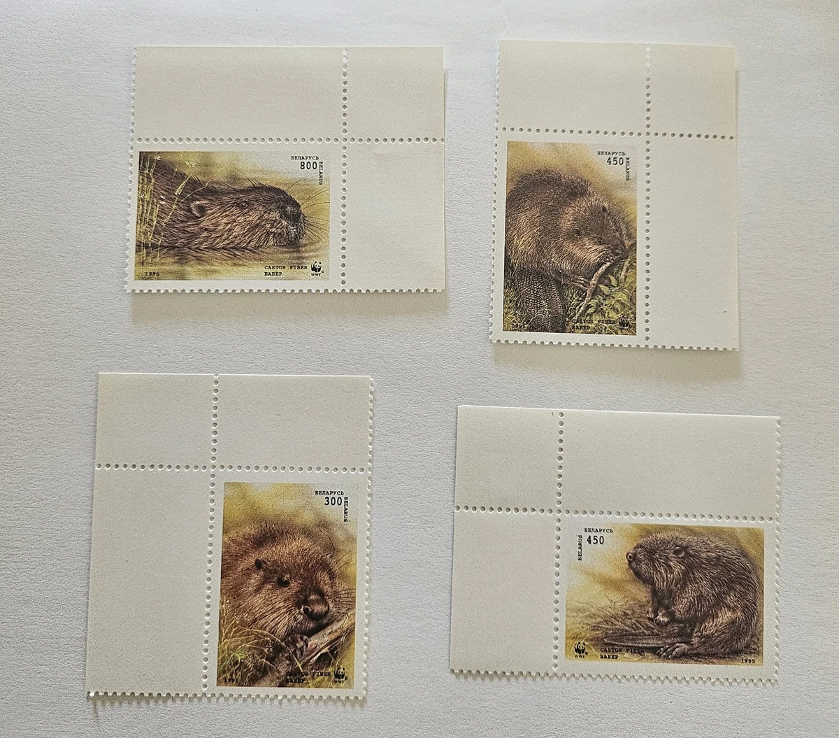 Prophila Collection Africa 100 Diversi African Animali Francobolli (Francobolli per i Collezionisti) Altri mammiferi (Scimmie/Dinosauri/Elefanti