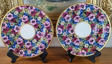 Two Very Rare Coxon Belleek 1926-31 USA Custom Design Chintz 9" Porcelain Plates