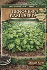 Genovese Basil Seeds Non-GMO Heirloom USA 1000 Seeds