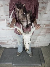 Wild 7 Point Whitetail Deer Antler Rack Horn Skull European Mount Man Cave