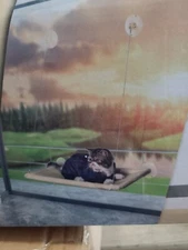 Mount Cat Window Perch, Gray