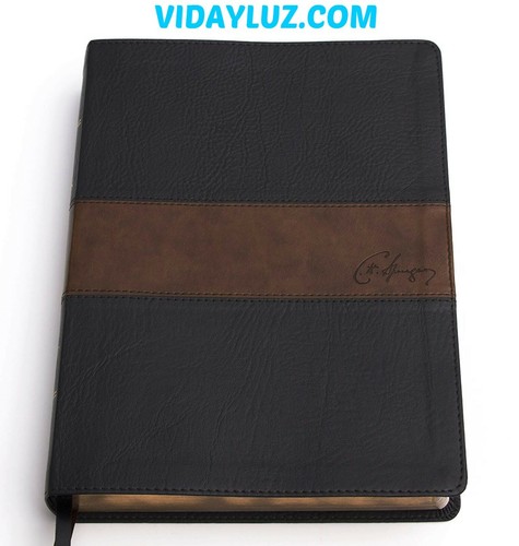 SPURGEON STUDIENBIBEL, KÖNIGIN VALERA 1960, DUOTONO LEDER SCHWARZ/KAFFEE - Bild 5 von 5