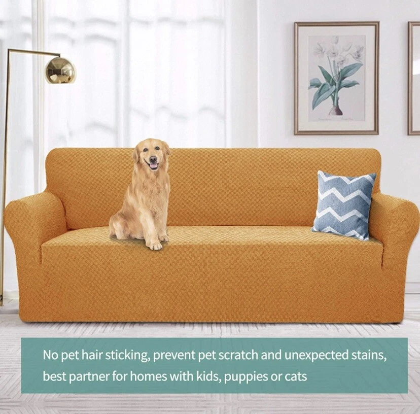 The 10 Best Couch Covers and Furniture Protectors for Dogs