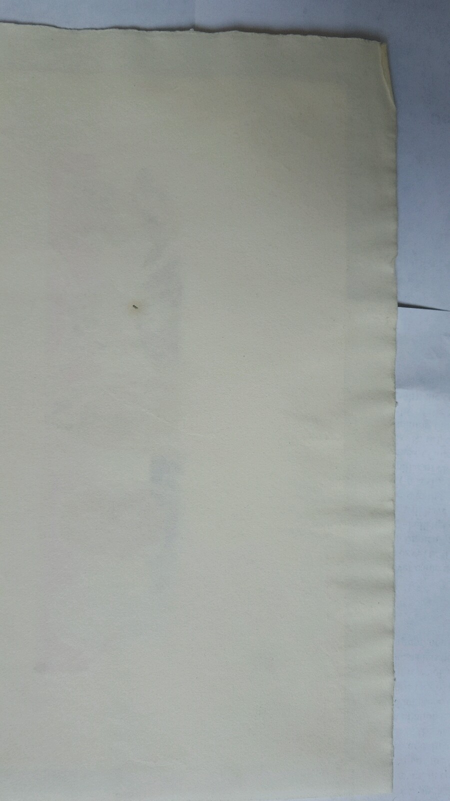 Picture 10 of 12
