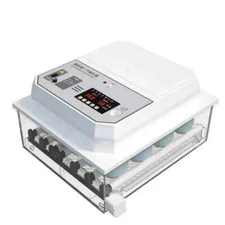 Small Household Automatic Intelligent Chick Duck Goose Pigeon Quail Incubator