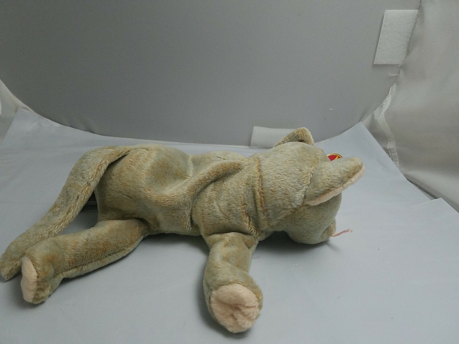 Picture 6 of 7