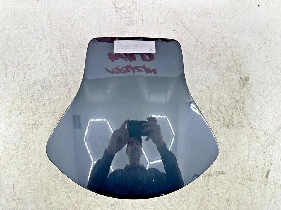 BMW K1200LT K 1200 LT 2005 gris tanque de gasolina delantero almacenamiento tapa bolsillo cubierta Foto 2 de 4