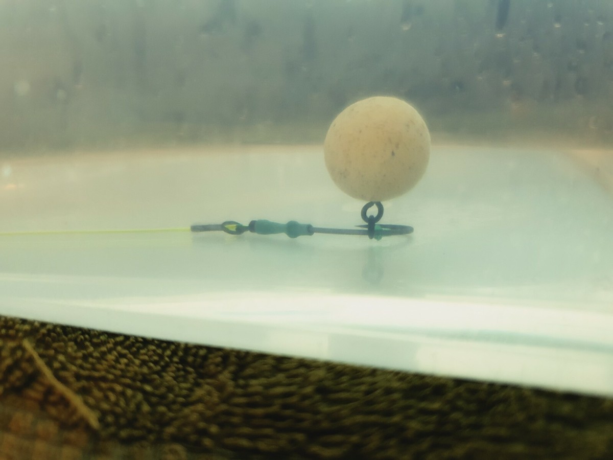 Esca Popup Wafter 3 Terminali Pre-assemblati Turbo German Rig Per Carpa ...