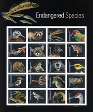 US 2023 MNH # 5799u  IMPERF  NDC ENDANGERED SPECIES  20 FOREVER STAMPS SOLD OUT