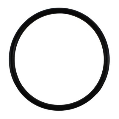 Ersatzdichtung für Pentair für Superflo für StaRite Poolpumpen 4 6er oder 8er