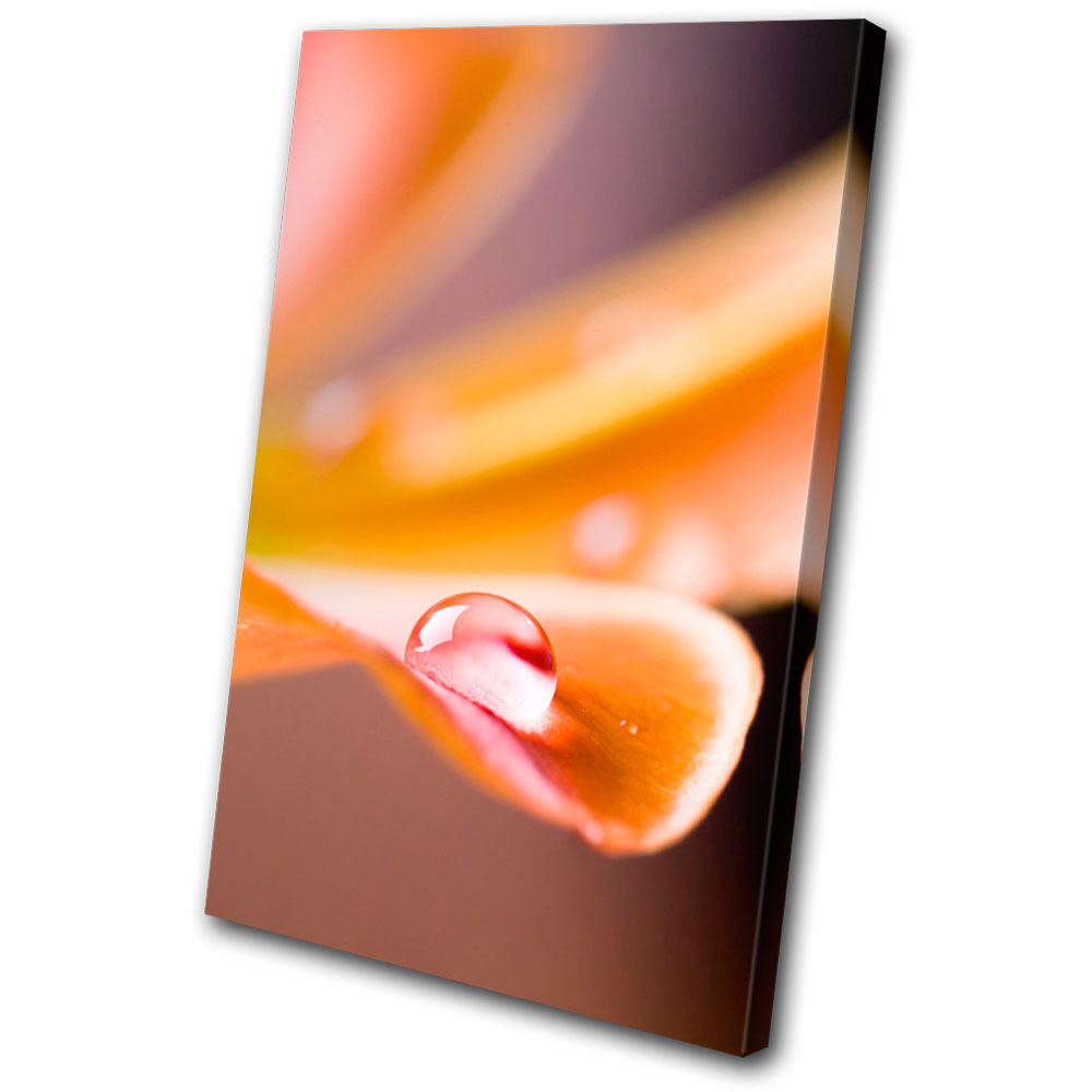 Floral Flowers BOTANICAL SINGLE CANVAS WALL ART Picture Print VA
