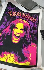 RARE Vintage Vans Tony Trujillo Skateboarding Poster, Black Light with Felt