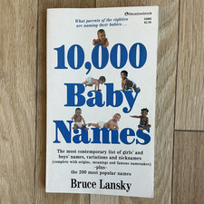 Meadowbrook 10,000 Baby Names Answer Book by Bruce Lansky Paperback 1985