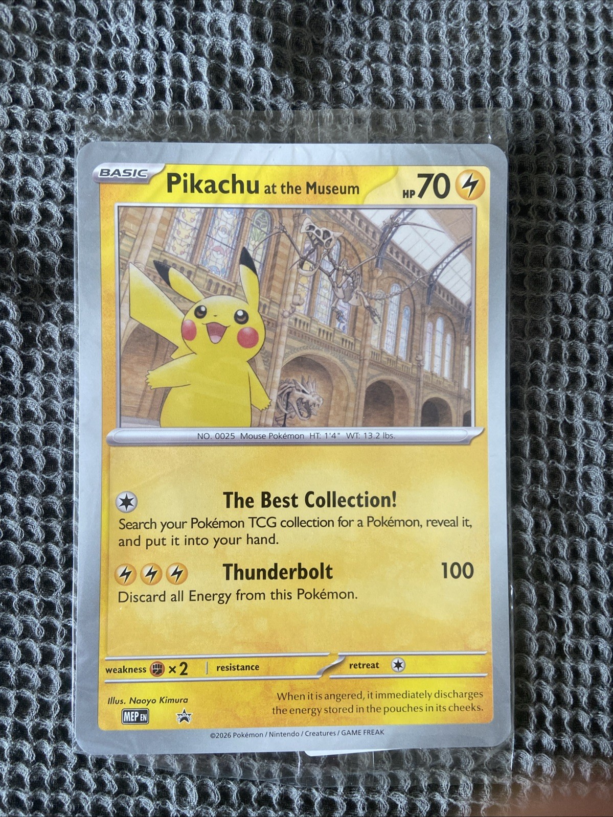 Pokemon TCG Pikachu At The Museum Jumbo Promo Card SEALED