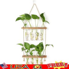 Wall Hanging Planter Test Tube Propagation Station W/ Wooden Stand 8 Tubes New