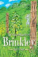Glenn Jones | The Adventures Of Brinkley | Taschenbuch | Englisch (2024)