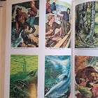 A Treasury of Outdoor Life ~ Hunting Fishing Magazine Compilation HC 1976