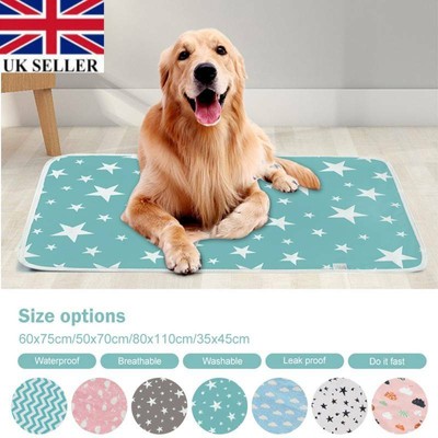 pet pee pads