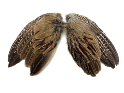 1 Pair - Natural Ringneck Pheasant Rooster Whole Wing Feather Set (Left and Rig