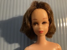 Francie  Brunette Twist Turn, bent knees Lash...