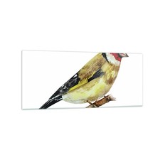 Quadro su Vetro 120x50cm Cardellino uccello acquerello Stampe Moderni Murale