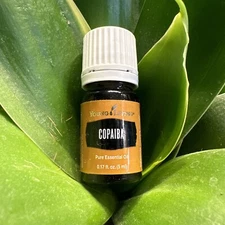 Young Living Essential Oils ~ 5ml   ~ NEW/SEALED -