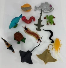 13 Misc Safari LTD Animals Sea Creatures Fish Bugs Turtle Frog Shark Centipede