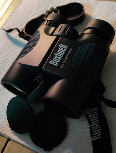 Bushnell - 10x42 - Waterproof Binoculars - BAK 4 - Excellent Resolution - Picture 10 of 20