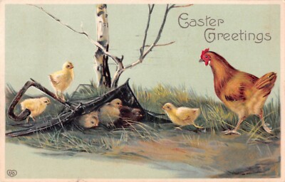 1911 EAS Easter Postcard of a Hen & Her Chicks by a Broken Umbrella