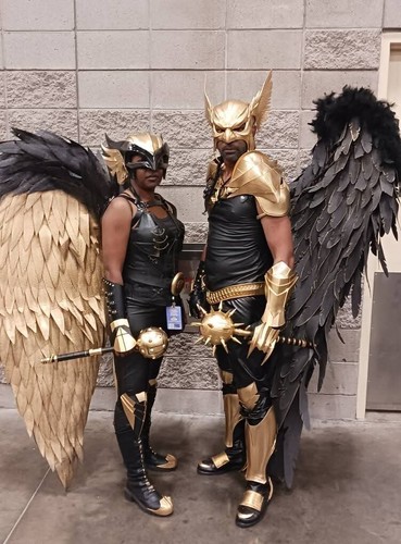 Hawkman Helmet RAW Cosplay Props Costume Wearable 3D Printed - Picture 4 of 6